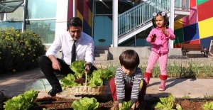 Ekolojik Kreş'te öğrenciler çiftlik hayatını öğreniyor