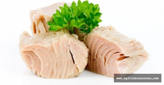 Bağışıklığın en önemli dostu derin deniz balıkları